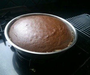 Biohacking & Mother’s Day Quick and Easy Allergen-Free Chocolate Cake with Chocolate Mousse Frosting